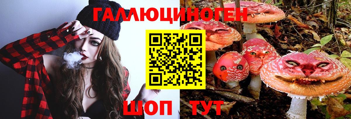 Дербент  Галлюциногенные грибы Psilocybe  Галлюциногенные грибы GOLDEN TEACHER  Вход с VPN 