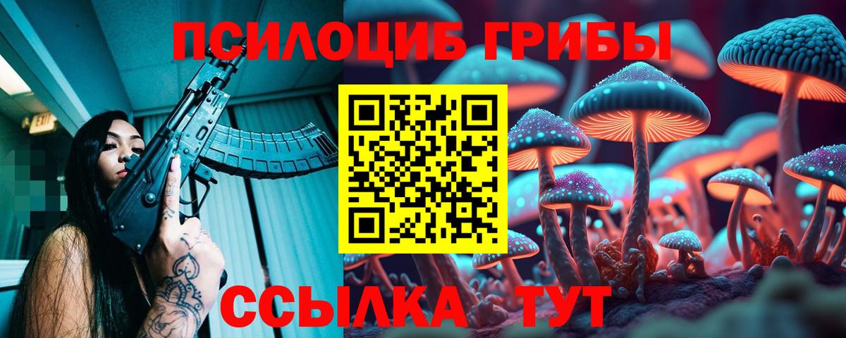 Галлюциногенные грибы мицелий Дербент